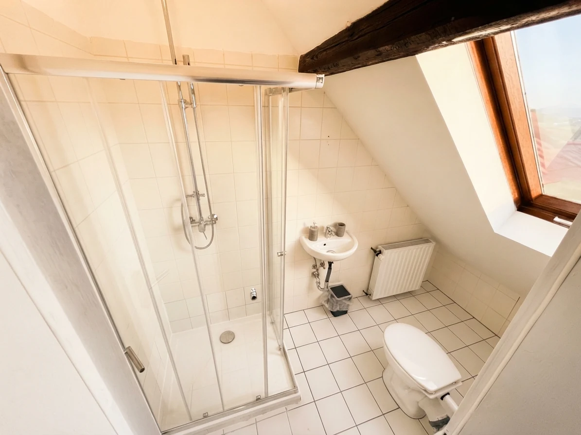 Duschbad mit WC im Dachgeschoss, nur durch das Schlafzimmer mit Holzbalken erreichbar